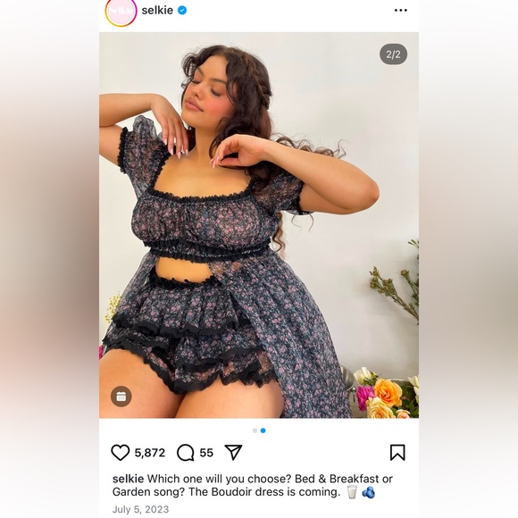 NWT Selkie Garden Song Boudoir Dress - Picture 2 of 4